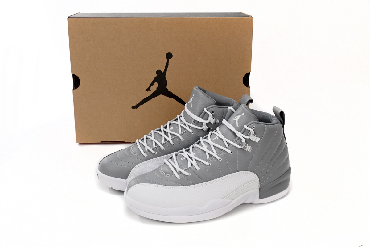 Air Jordan 12 (Stealth)